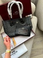 کیف مستر دورو کوچ مدل coach neverfull - Image 3